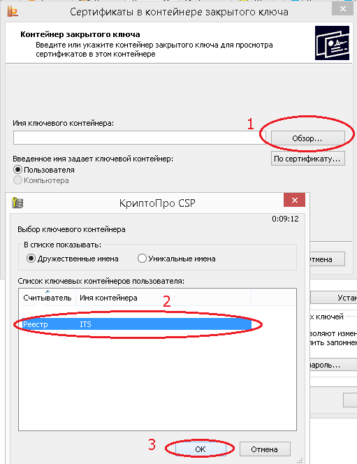 Не видит контейнер сертификата. Сертификат в контейнере закрытого ключа. Имя контейнера закрытого ключа. Ключевой контейнер электронной подписи. Ключевой контейнер эп.